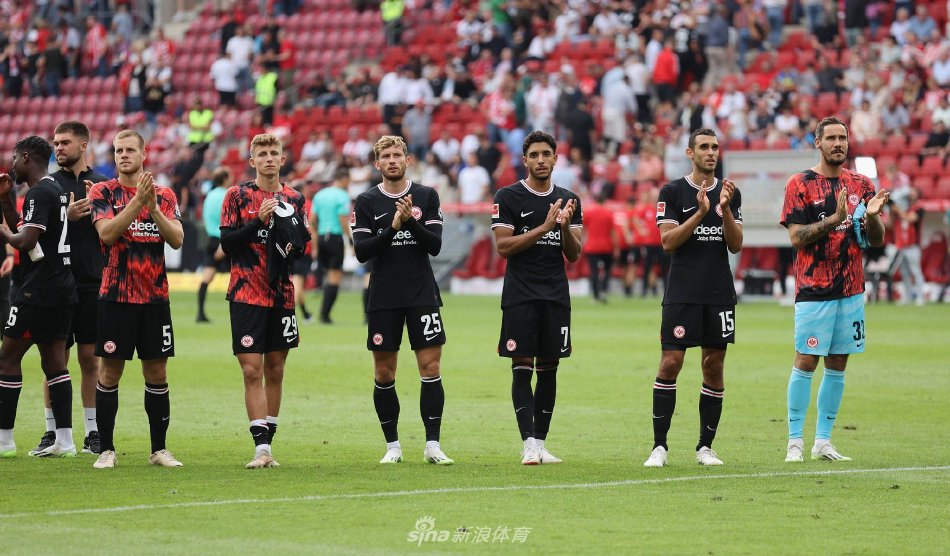 供了丰富的 供了丰富的